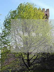 逾期60天对贷款有影响