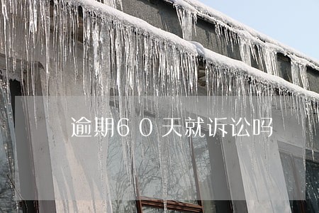 逾期60天就诉讼吗 逾期60天就诉讼吗