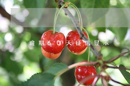 逾期60天征信显示 逾期60天征信显示