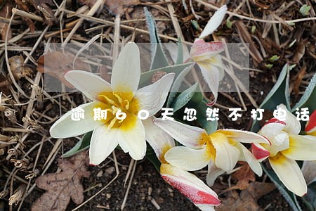 逾期60天忽然不打电话了 逾期60天忽然不打电话了