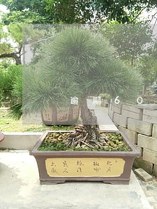 逾期60天才会上征信吗 逾期60天才会上征信吗