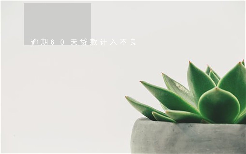 逾期60天贷款计入不良 逾期60天贷款计入不良