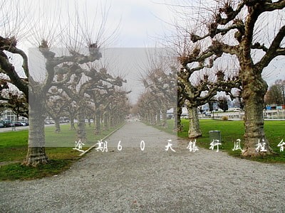 逾期60天银行风控能力 逾期60天银行风控能力