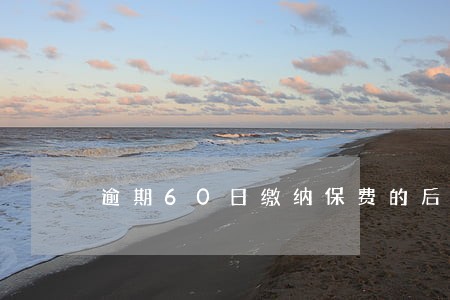 逾期60日缴纳保费的后果 逾期60日缴纳保费的后果