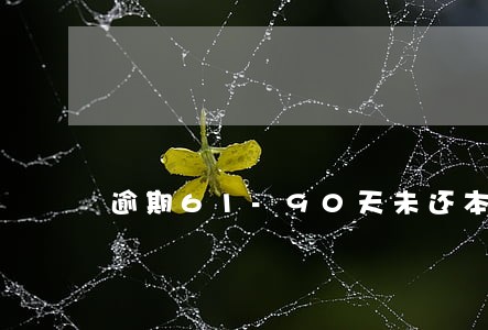 逾期61-90天未还本金 逾期61-90天未还本金