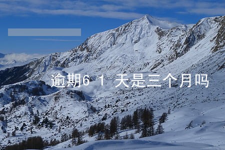 逾期61天是三个月吗 逾期61天是三个月吗