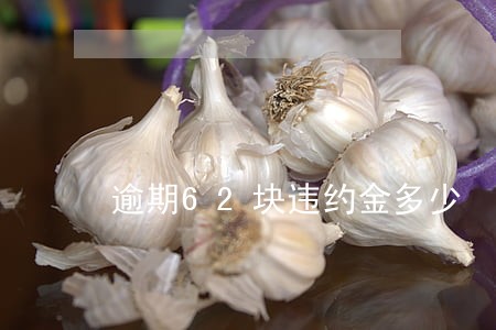 逾期62块违约金多少 逾期62块违约金多少