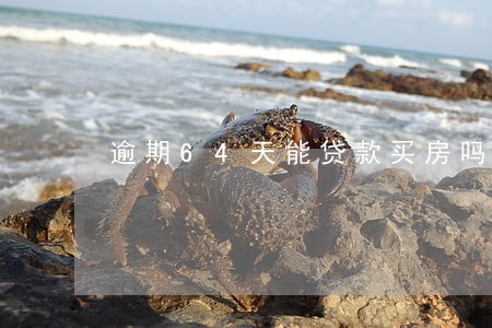 逾期64天能贷款买房吗 逾期64天能贷款买房吗