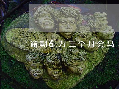 逾期6万三个月会马上报案吗