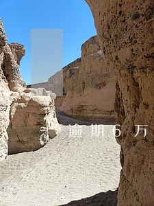 逾期6万罚息法律允许要罚多少 逾期6万罚息法律允许要罚多少