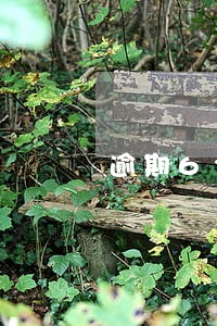 逾期6个平台 逾期6个平台
