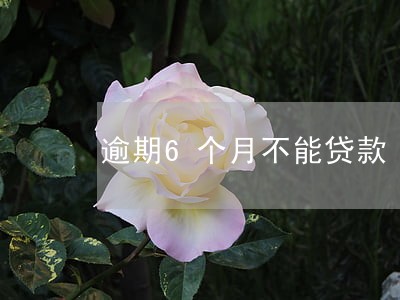 逾期6个月不能贷款 逾期6个月不能贷款