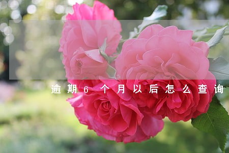 逾期6个月以后怎么查询本金 逾期6个月以后怎么查询本金