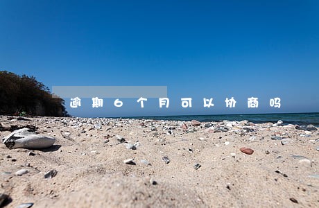 逾期6个月可以协商吗 逾期6个月可以协商吗