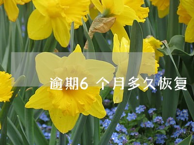 逾期6个月多久恢复 逾期6个月多久恢复