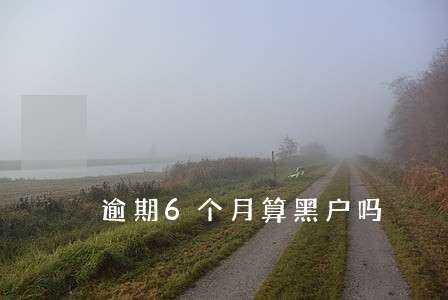 逾期6个月算黑户吗 逾期6个月算黑户吗