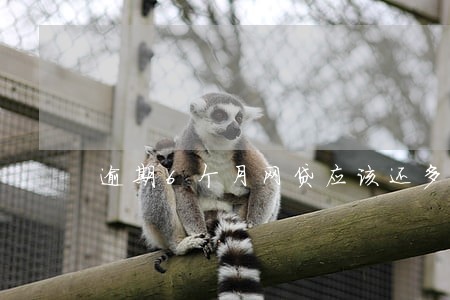 逾期6个月网贷应该还多少 逾期6个月网贷应该还多少