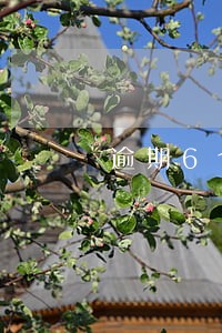 逾期6个月能贷款买房吗 逾期6个月能贷款买房吗