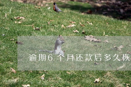 逾期6个月还款后多久恢复 逾期6个月还款后多久恢复