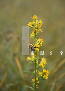 逾期6个月还能借贷吗 逾期6个月还能借贷吗