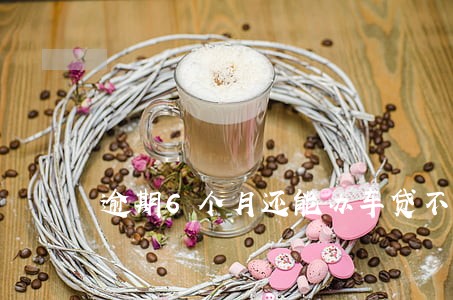 逾期6个月还能办车贷不 逾期6个月还能办车贷不