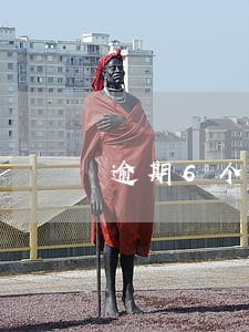 逾期6个月还能协商吗 逾期6个月还能协商吗