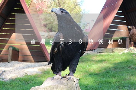 逾期6天30块钱利息 逾期6天30块钱利息