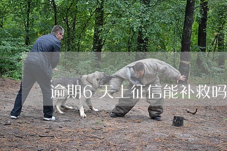 逾期6天上征信能补救吗 逾期6天上征信能补救吗