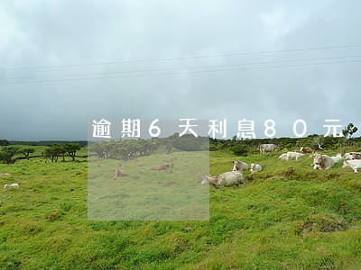逾期6天利息80元 逾期6天利息80元