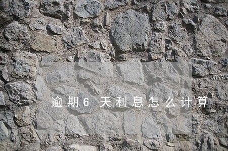 逾期6天利息怎么计算