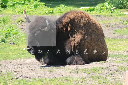 逾期6天利息是多少 逾期6天利息是多少