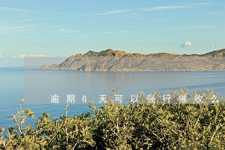 逾期6天可以强行催收么 逾期6天可以强行催收么