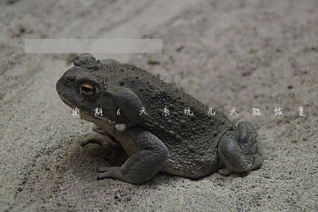 逾期6天系统几天能恢复正常 逾期6天系统几天能恢复正常
