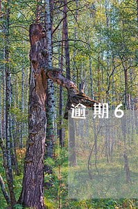 逾期6天要求一次结清 逾期6天要求一次结清