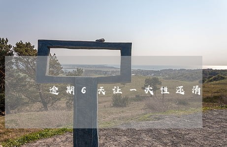 逾期6天让一次性还清 逾期6天让一次性还清