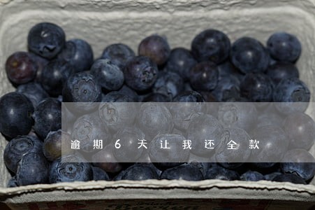 逾期6天让我还全款 逾期6天让我还全款