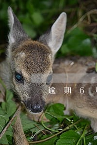 逾期6年债务 逾期6年债务