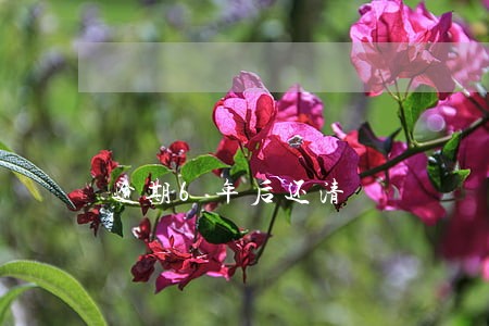 逾期6年后还清