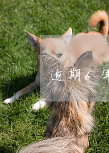 逾期6年没通知还款 逾期6年没通知还款