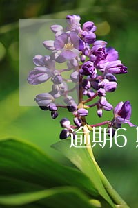 逾期6期是什么情况 逾期6期是什么情况
