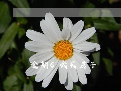 逾期6次买房子 逾期6次买房子