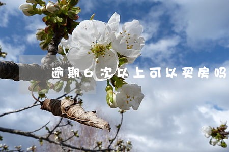 逾期6次以上可以买房吗 逾期6次以上可以买房吗