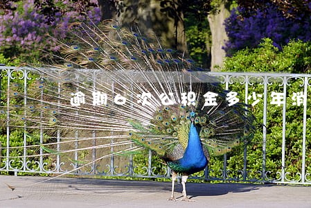 逾期6次公积金多少年消除 逾期6次公积金多少年消除