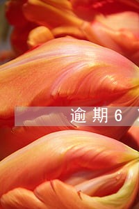 逾期6次怎么买车 逾期6次怎么买车