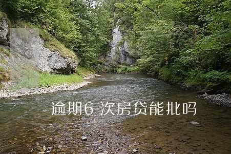 逾期6次房贷能批吗 逾期6次房贷能批吗