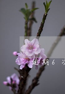 逾期6次还能办信用卡 逾期6次还能办信用卡