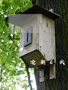 逾期6次还能办理住房公积金 逾期6次还能办理住房公积金