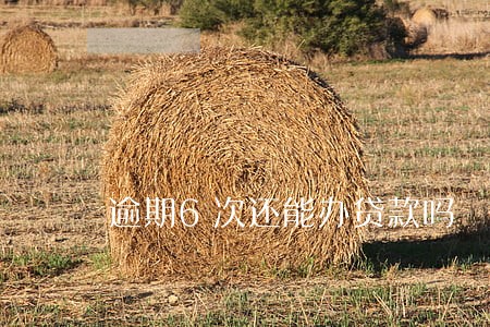 逾期6次还能办贷款吗 逾期6次还能办贷款吗