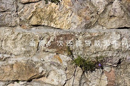 逾期6次还能贷款买车吗 逾期6次还能贷款买车吗