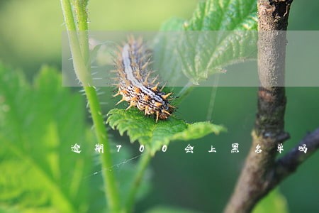 逾期700会上黑名单吗 逾期700会上黑名单吗